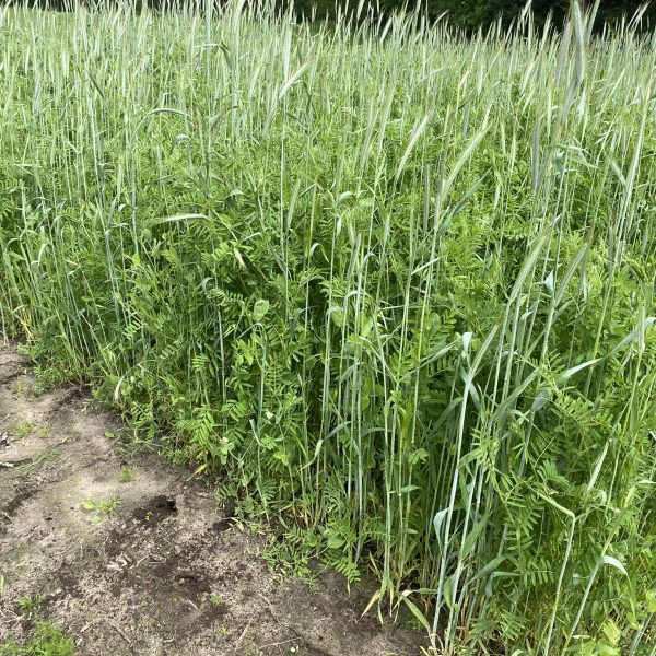 Optima Hiver Neutkens bio en gangbaar