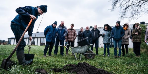 boeren-op-bezoek-bij-de-kwekerij-van-sjef-van-dongen-in-het-brabantse