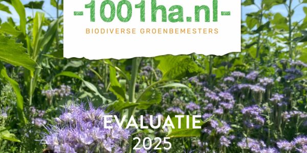evaluatie 1001ha groenbemesters